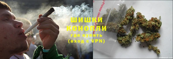 молекула духа Покров